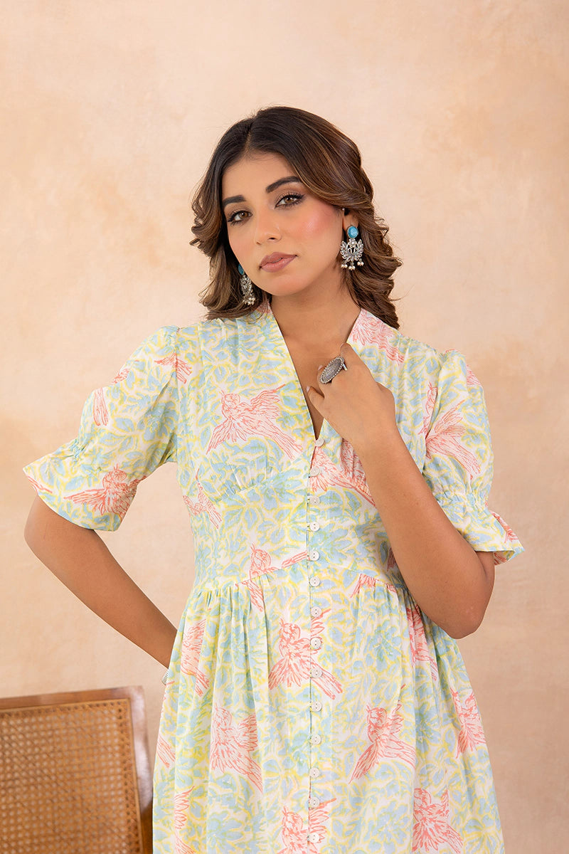 Pastel Green Hand Block Printed V-Neck Front-Open Long Dress